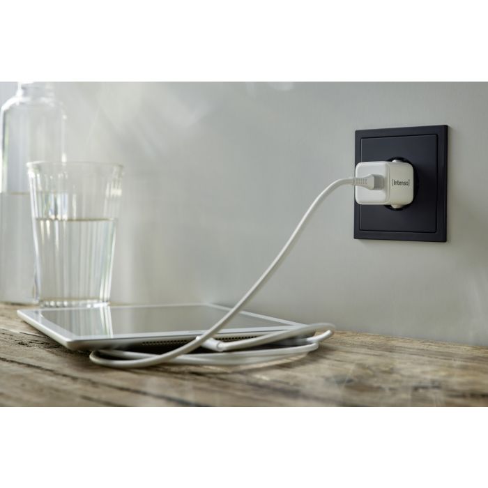 Intenso 30W GaN napajalnik s priključkom USB-C W30C - slika 3